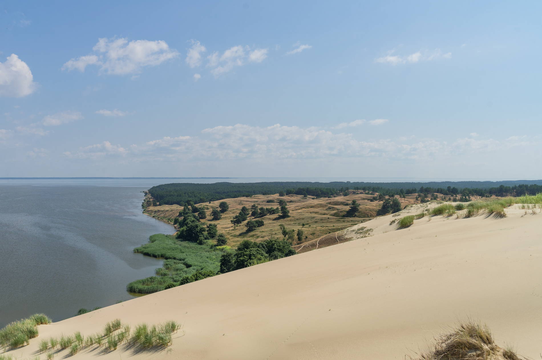 Куршская коса, Зеленоградск и дегустация сыров